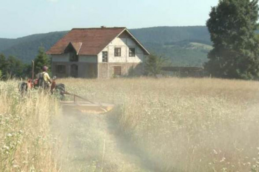 OVO JE NAJNEOBIČNIJE SELO U SRBIJI: Ima čak TRI POZIVNA BROJA, a razlog je neverovatan