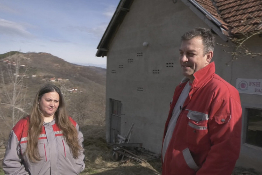 Ni kraćeg imena, niti većih i vrednijih ljudi: Pantelići iz sela Ba rade u tri smene, u jednoj štali imaju razrađena dva biznisa - farmu krava i stolarsku radionicu