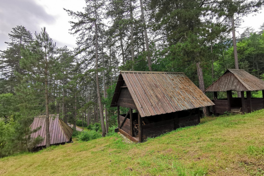 OVA SRPSKA PLANINA JE RAJ ZA ALERGIČNE OSOBE! Ima manju koncentraciju polena AMBROZIJE, u gradovima ovu biljku kose