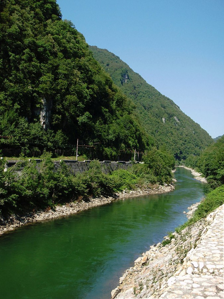 MIRIŠLJAVA TRSKA, NARODNI LEK ZAŠTIĆEN ZAKONOM U SRBIJI Obalama Fruške gore raste čudotvorna biljka - iđirot (FOTO)