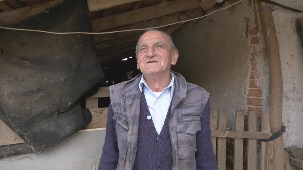 Prirodni fenomen u Šumadiji! U selu Ljuljaci ovca Belka na svet donela čak pet jagnjadi: Domaćin Milisav ostao u čudu, ovako nešto ne pamte ni najstariji meštani