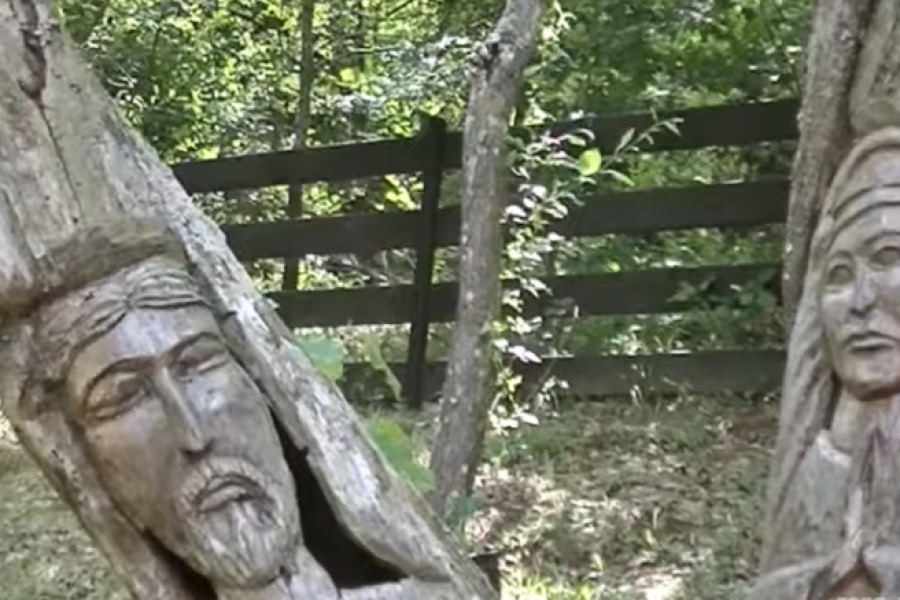 MISTERIOZNO MESTO U SRBIJI! OVDE DRVEĆE RASTE NA NEVEROVATAN NAČIN: Postoji neka neobična drevna energija, a to nije sve (FOTO/VIDEO)