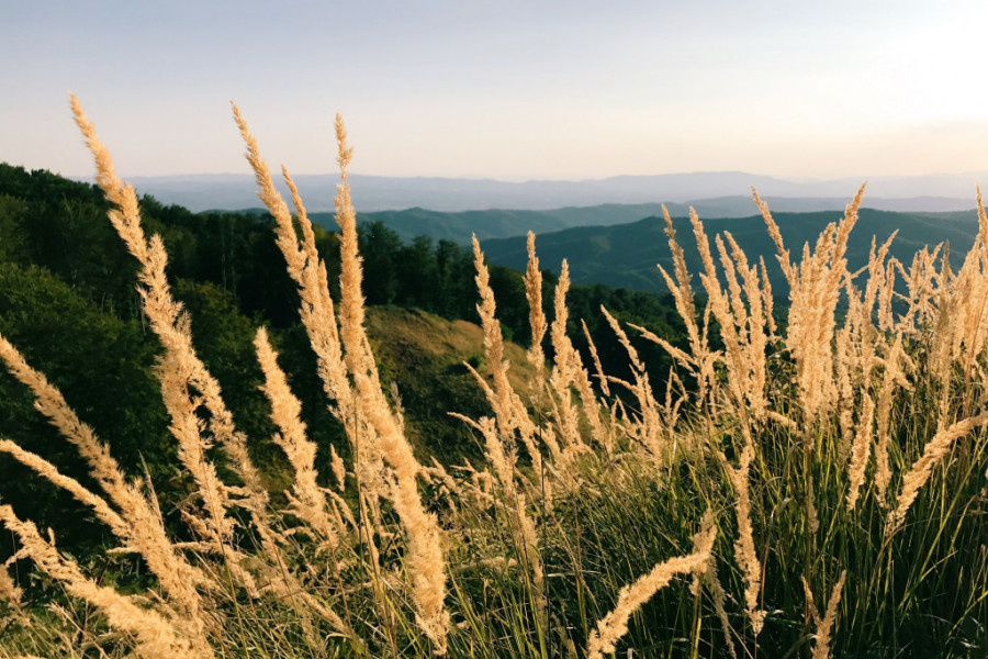 planina Cer