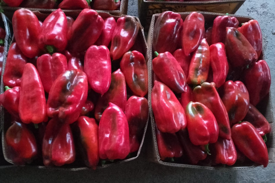 paprika