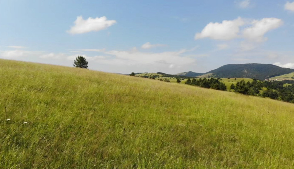 gostilje