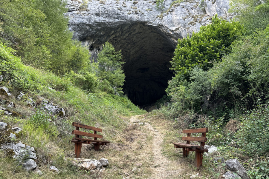 Dobroselica