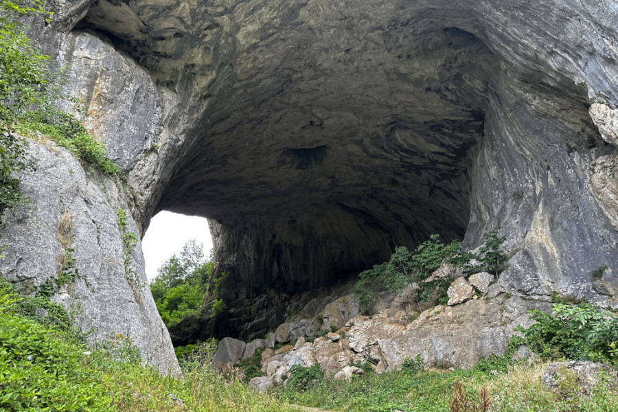 Dobroselica