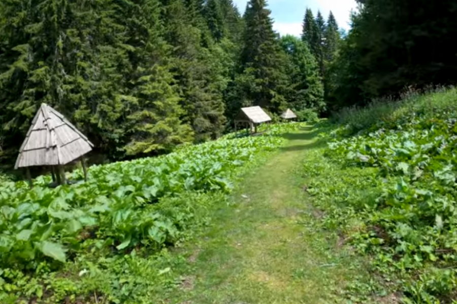 gejzir metođe