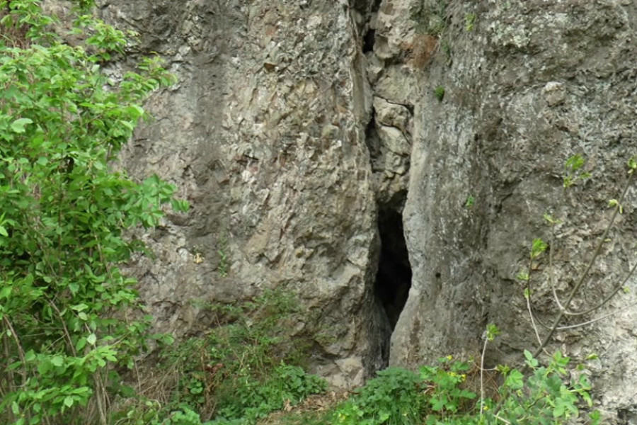 Ostra