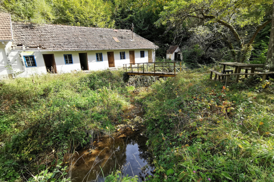 roška banja