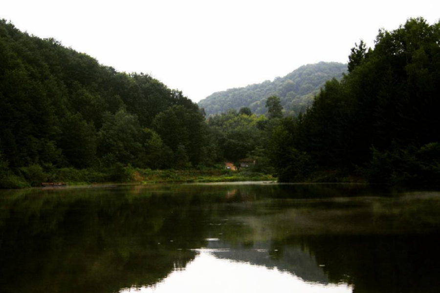 radaljska banja