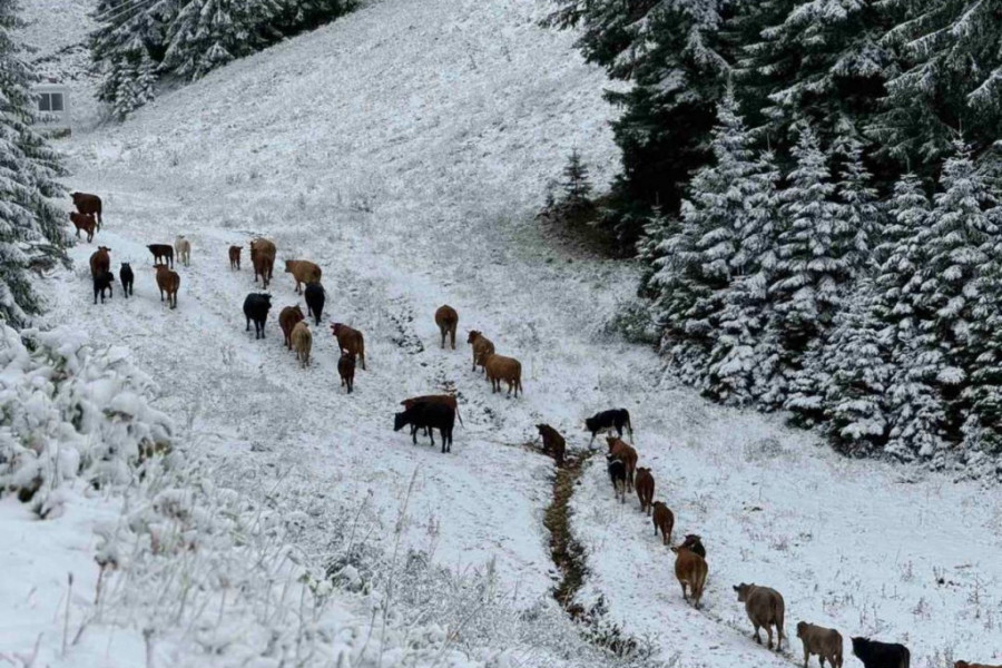 prvi sneg Jahorina