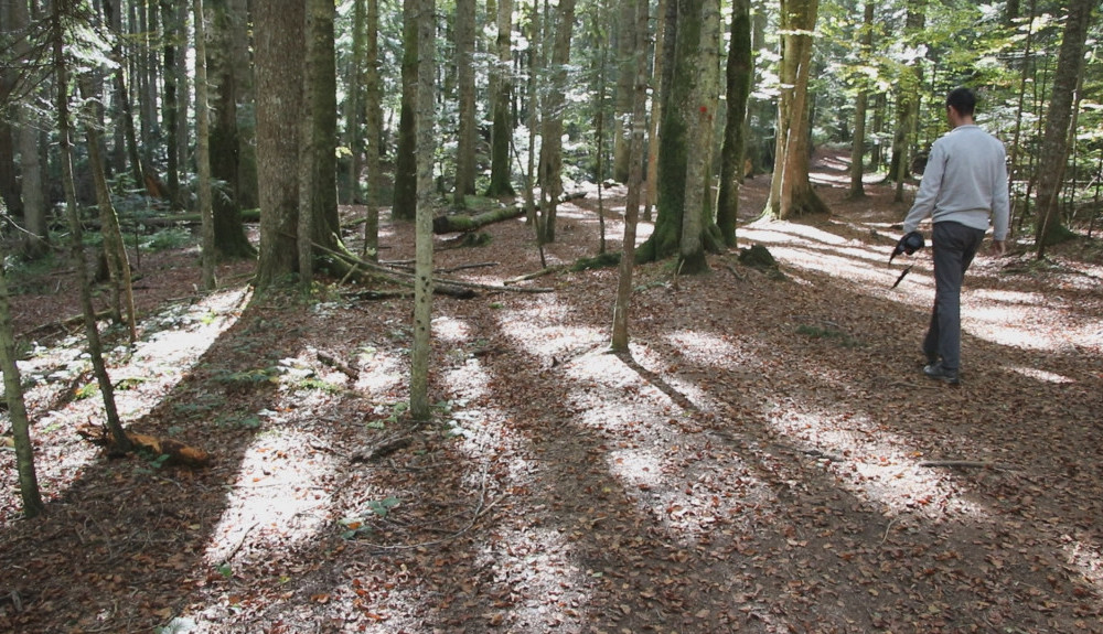 Tara, planina koju i Đoković obožava