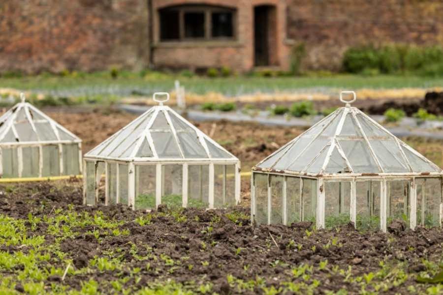 greenhouse in winter