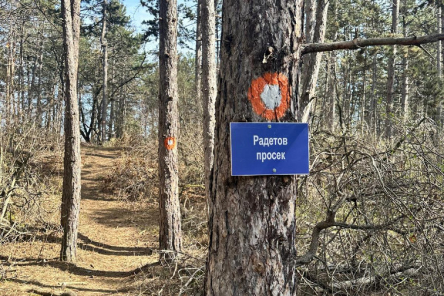 deliblatska peščara