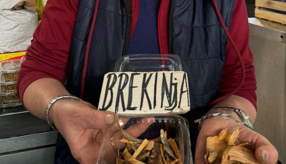 Brekinja