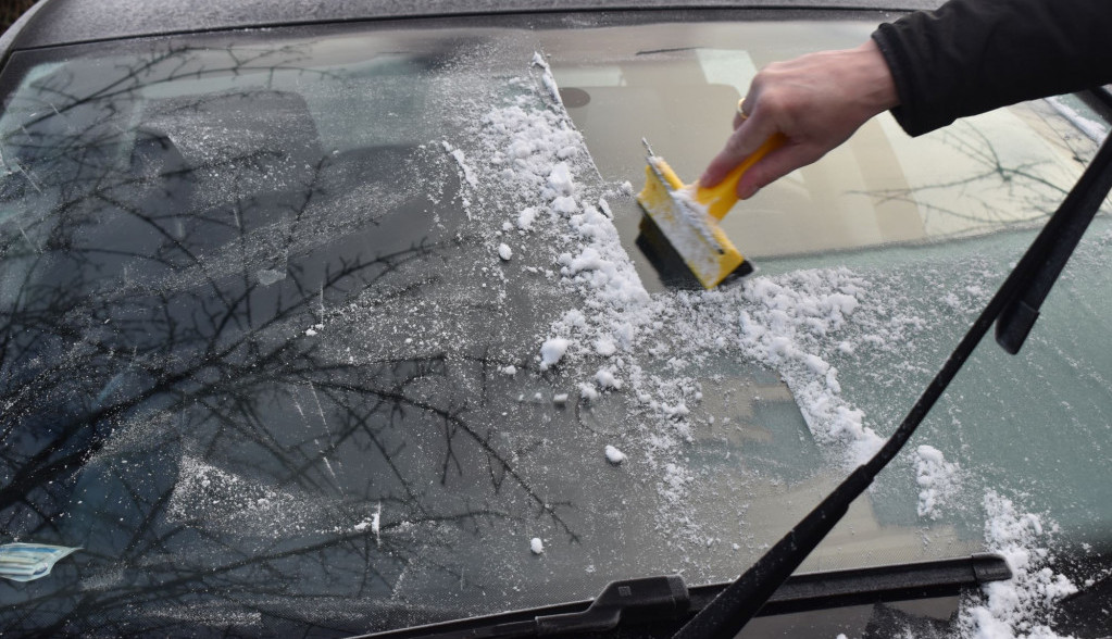 Shutterstock/Vanidar_Eddy