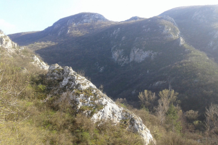 planina devica