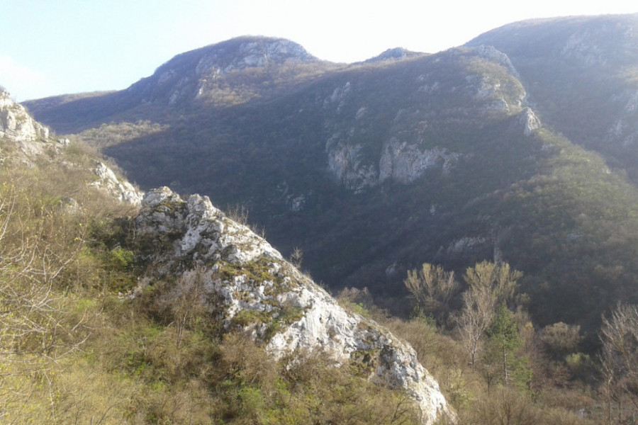planina devica