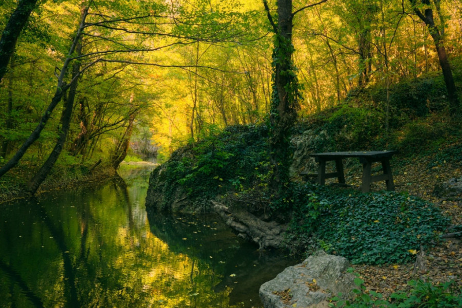 sokobanja