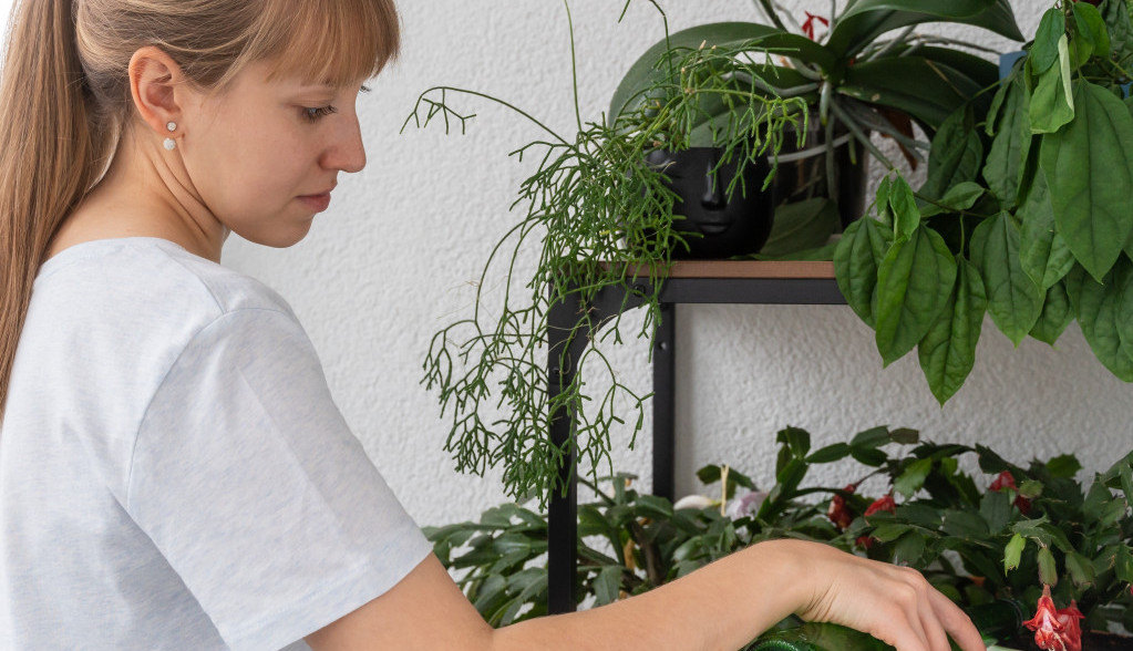 Shutterstock/Nata Bene