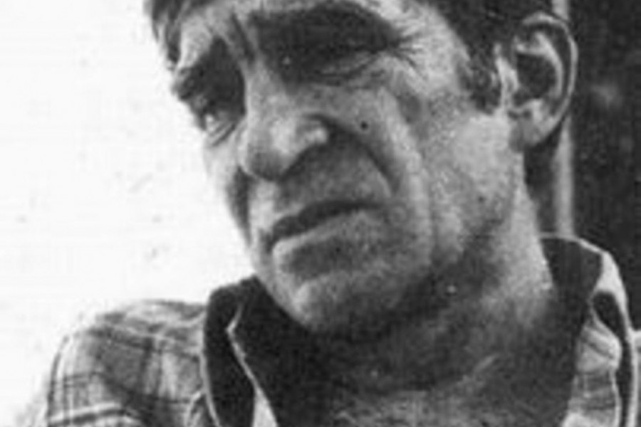 Mika Antić