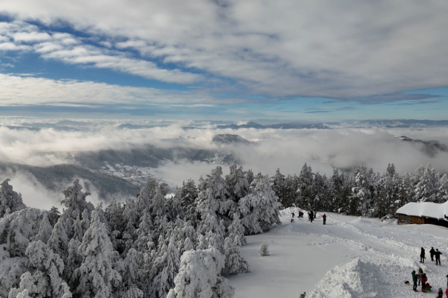 zlatibor