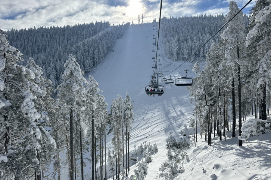 zlatibor