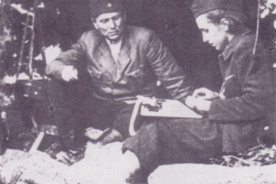 Davorjanka Paunović