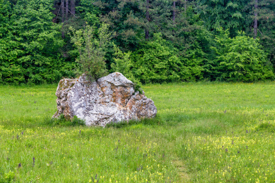 sokobanja