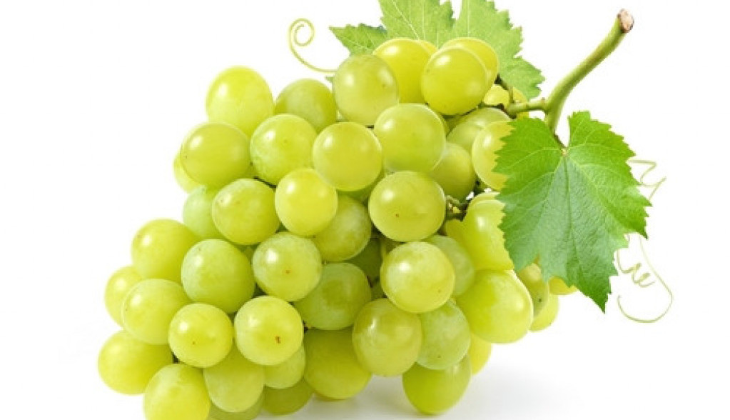 grožđe
