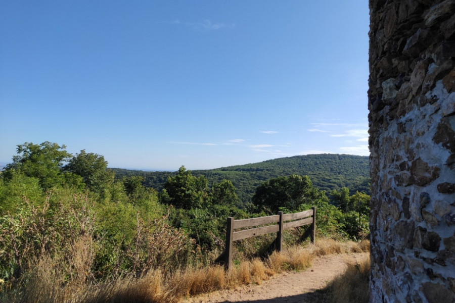 Fruška gora