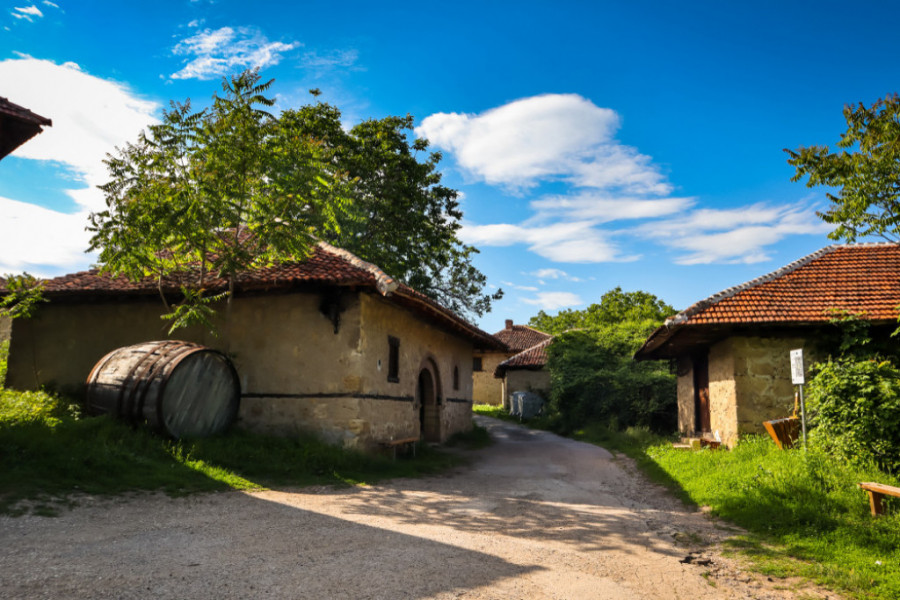 selo Rajac