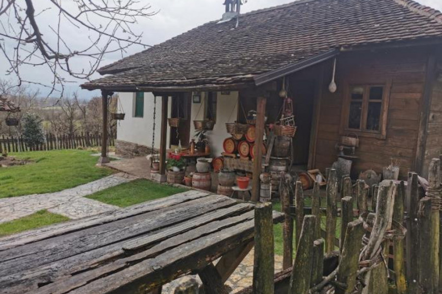 rakija