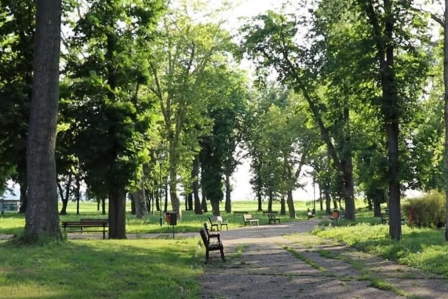palanački kiseljak