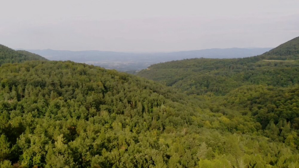 planina jelica