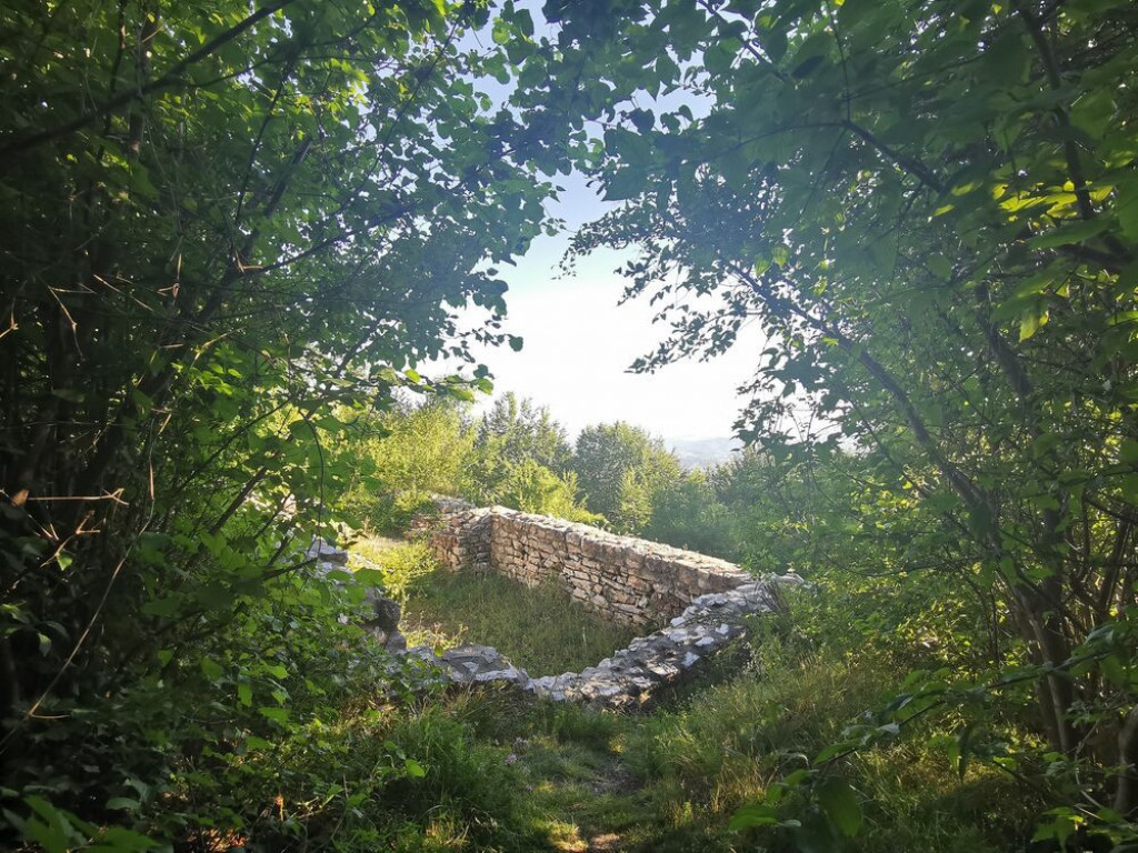 planina jelica