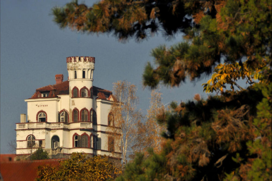 vila Džervin