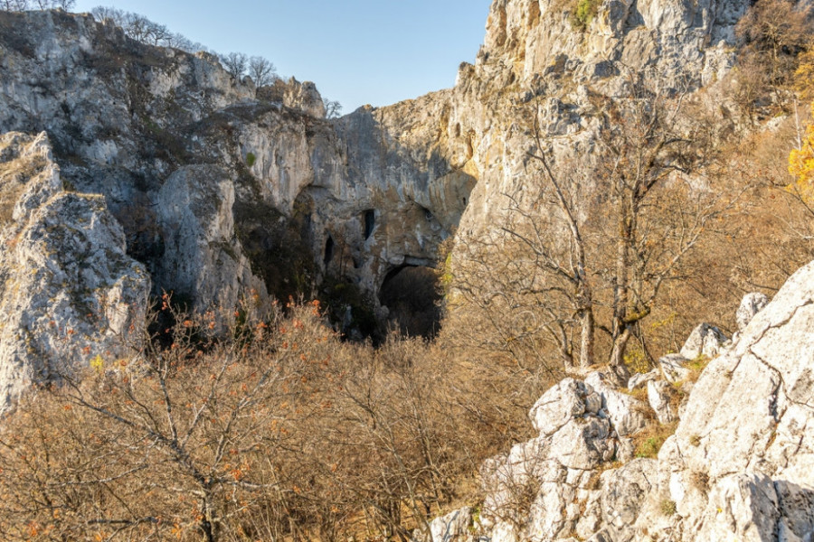 Vratnjanske kapije