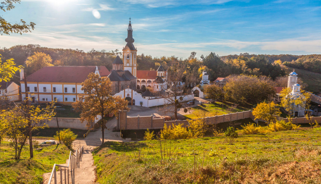 privina glava
