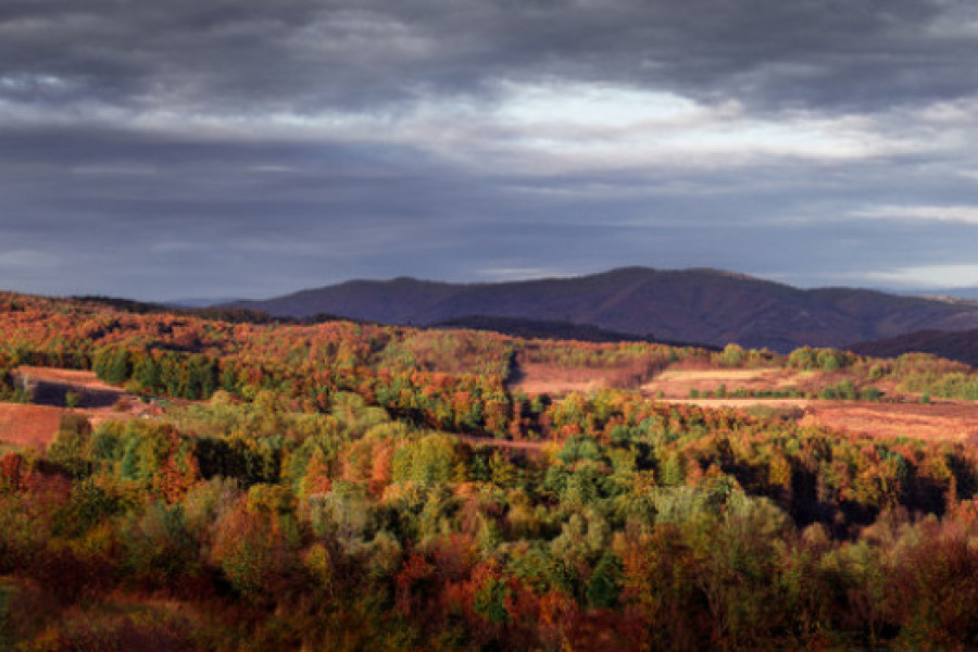 Planina Jastrebac
