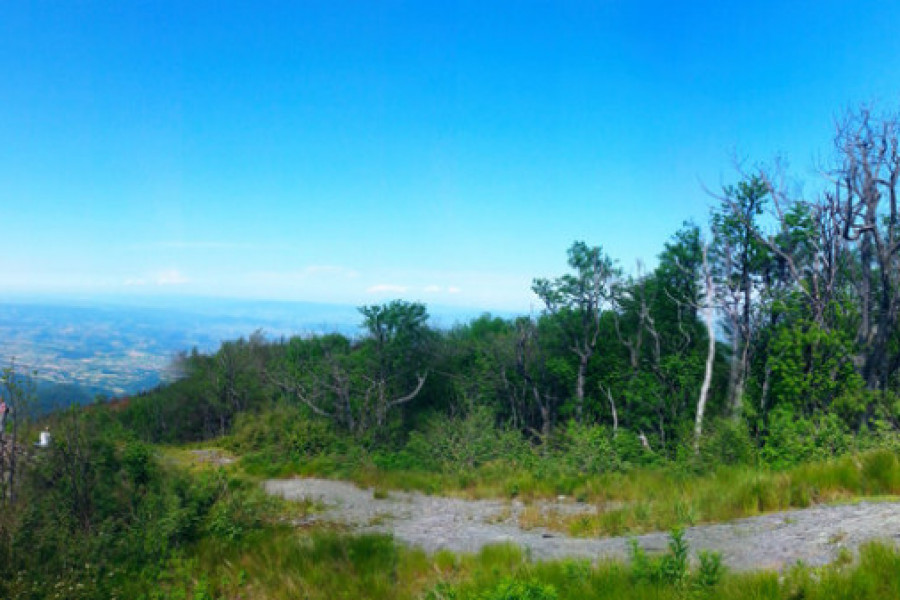 Planina Jastrebac