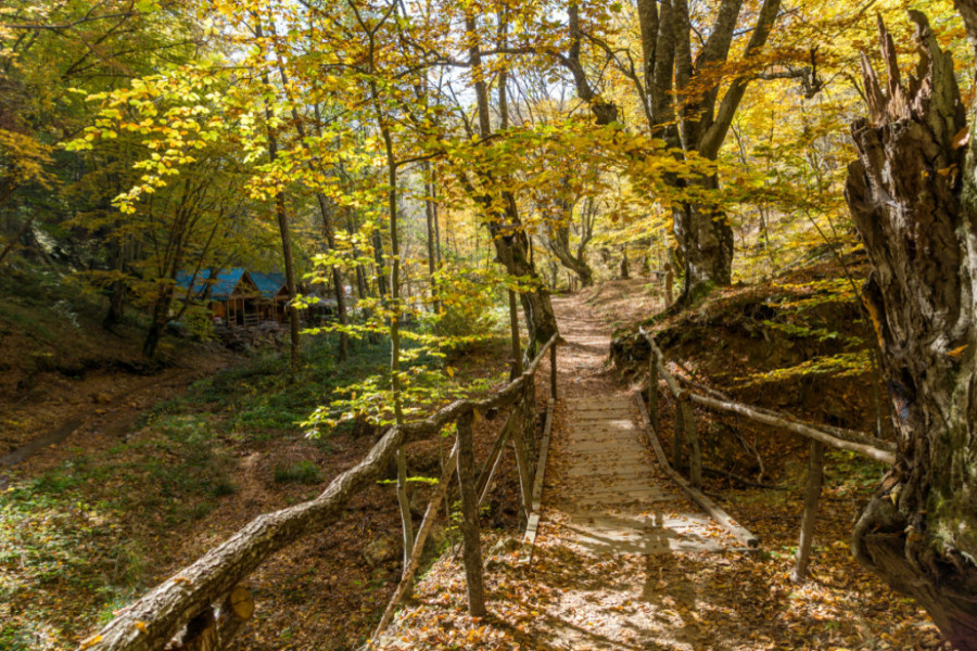 planina radan