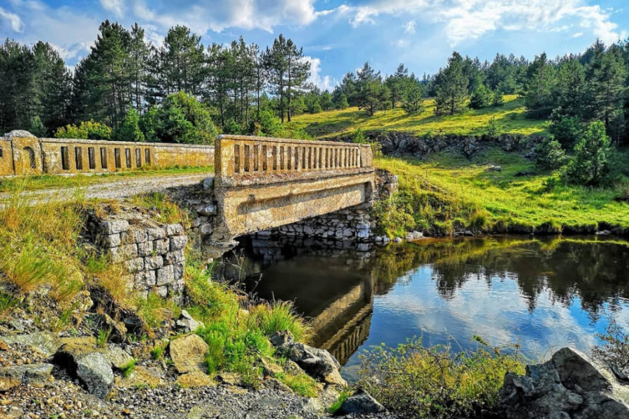 zlatibor