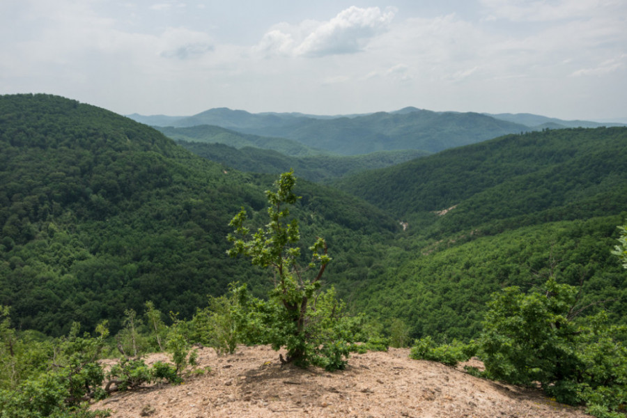 radan planina