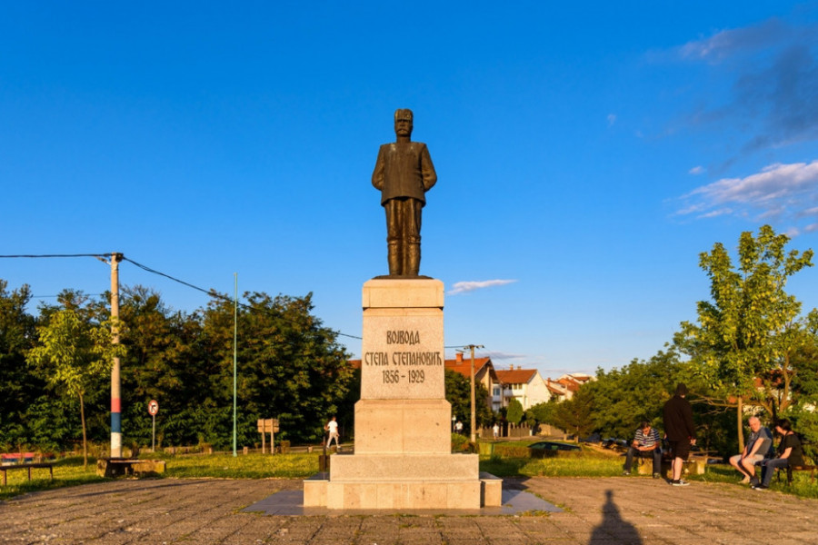 Vojvoda Stepa