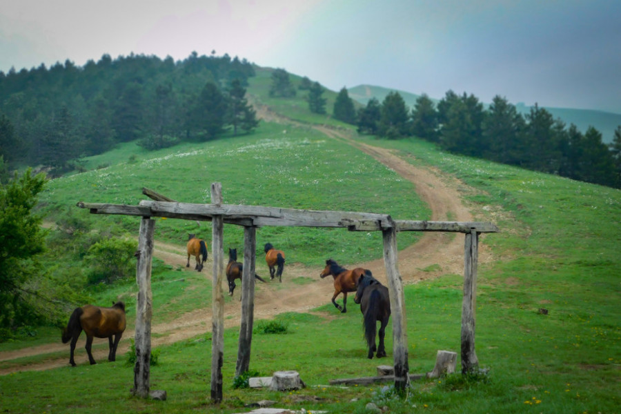 Planina Stolovi