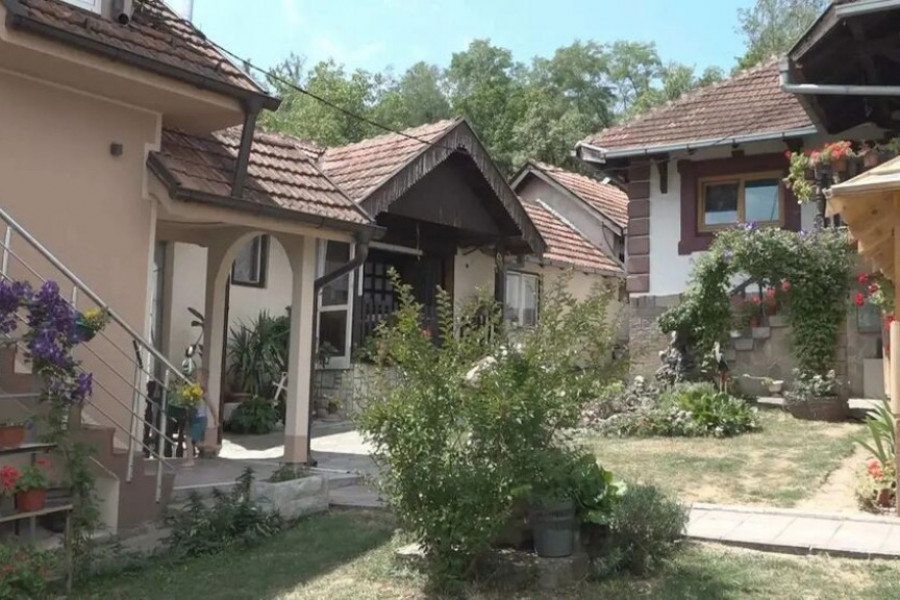 domaćinstvo janković