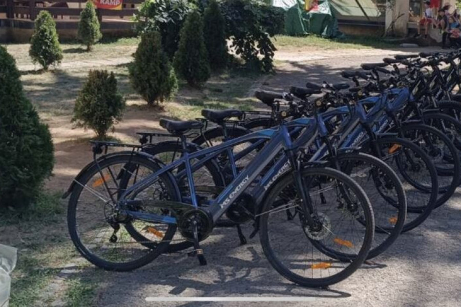 električni bicikl
