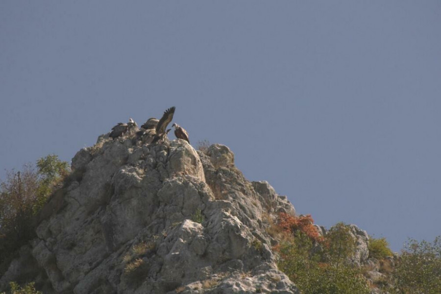 Pešter